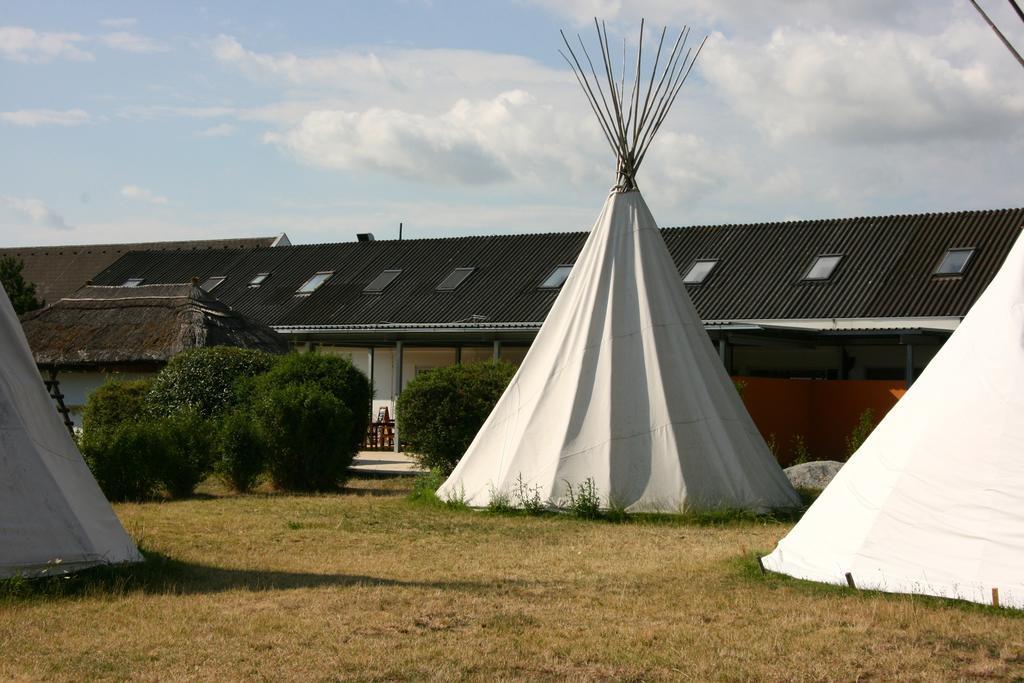 Storchencamp Gaestehaus Purbach برباش ام نيوسيدله المظهر الخارجي الصورة